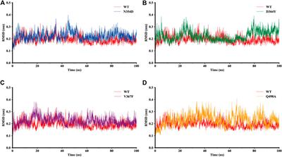 Non-RBM Mutations Impaired SARS-CoV-2 Spike Protein Regulated to the ACE2 Receptor Based on Molecular Dynamic Simulation